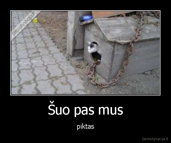 Šuo pas mus - piktas