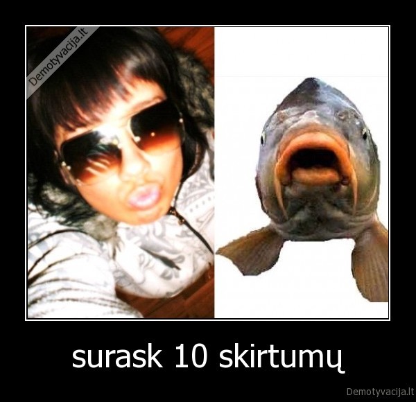 surask 10 skirtumų - 