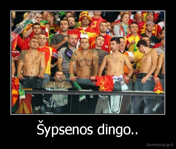 Šypsenos dingo.. - 