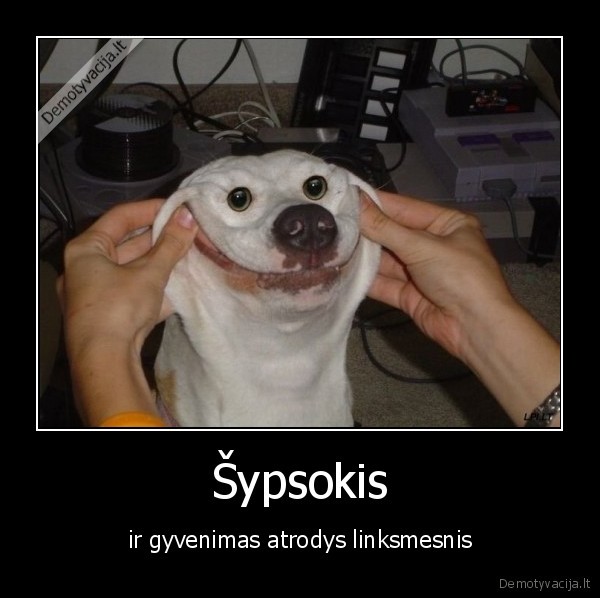 Šypsokis - ir gyvenimas atrodys linksmesnis