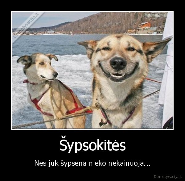 Šypsokitės - Nes juk šypsena nieko nekainuoja...
