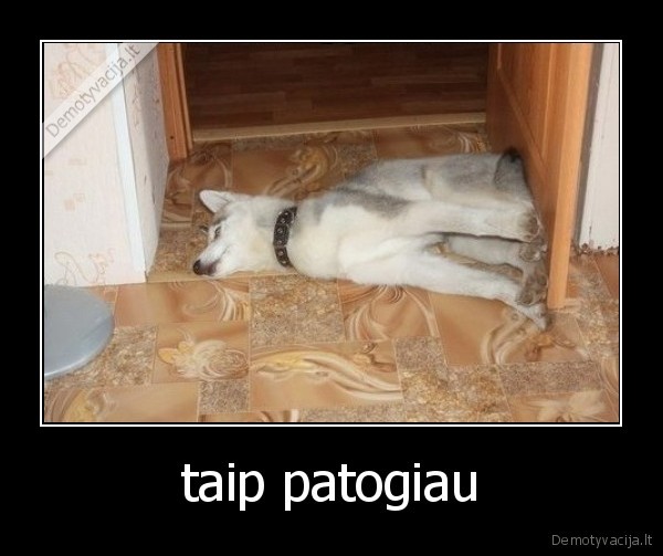 taip patogiau - 