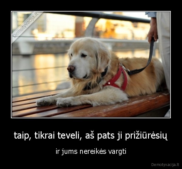 taip, tikrai teveli, aš pats ji prižiūrėsių - ir jums nereikės vargti