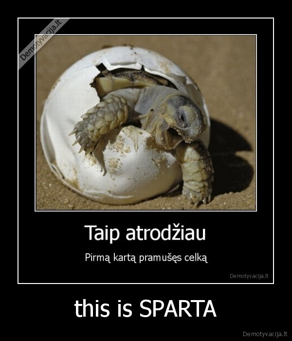 this is SPARTA - 