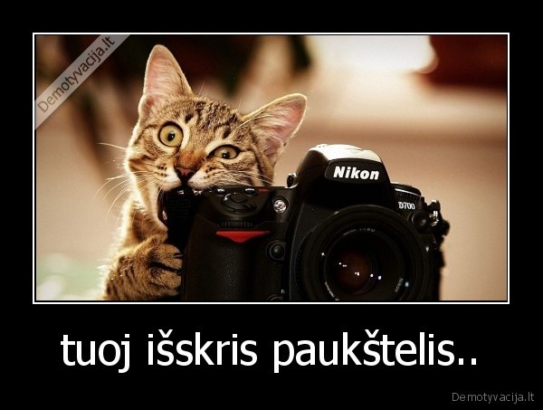 tuoj išskris paukštelis.. - 