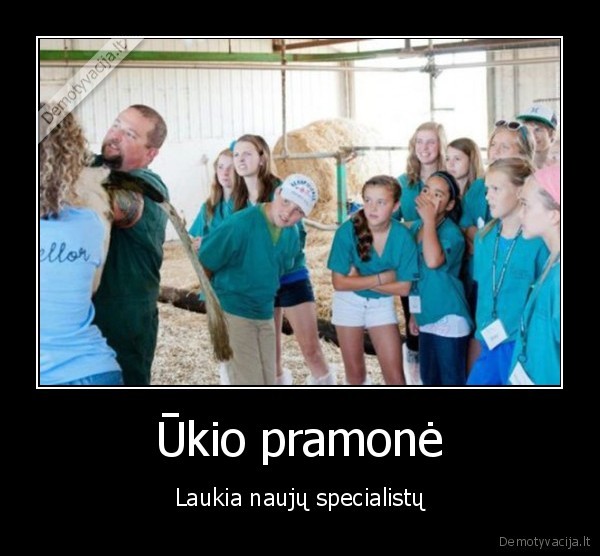 Ūkio pramonė - Laukia naujų specialistų