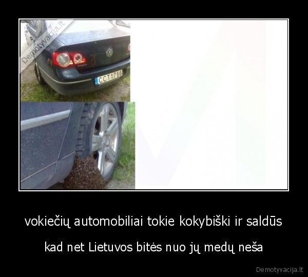 vokiečių automobiliai tokie kokybiški ir saldūs - kad net Lietuvos bitės nuo jų medų neša