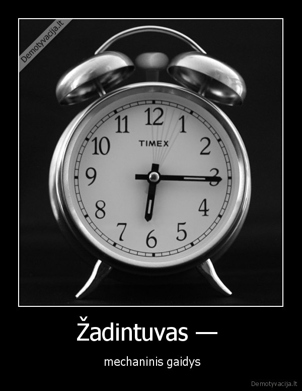 Žadintuvas —  -  mechaninis gaidys