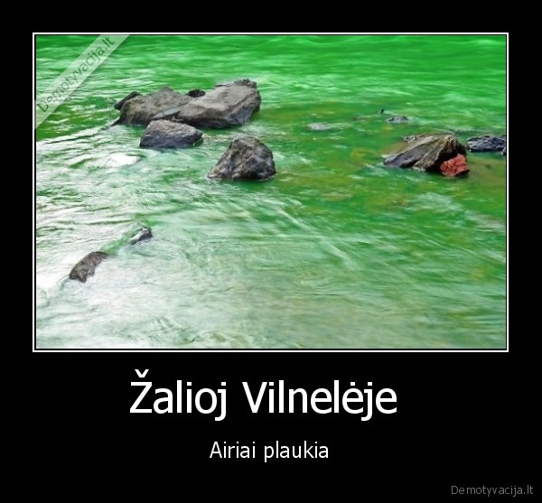 Žalioj Vilnelėje  - Airiai plaukia