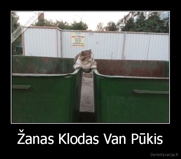 Žanas Klodas Van Pūkis - 