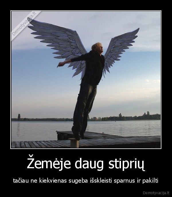 Žemėje daug stiprių - tačiau ne kiekvienas sugeba išskleisti sparnus ir pakilti