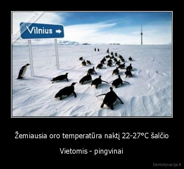 Žemiausia oro temperatūra naktį 22-27°C šalčio - Vietomis - pingvinai