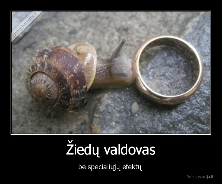 Žiedų valdovas - be specialiųjų efektų 