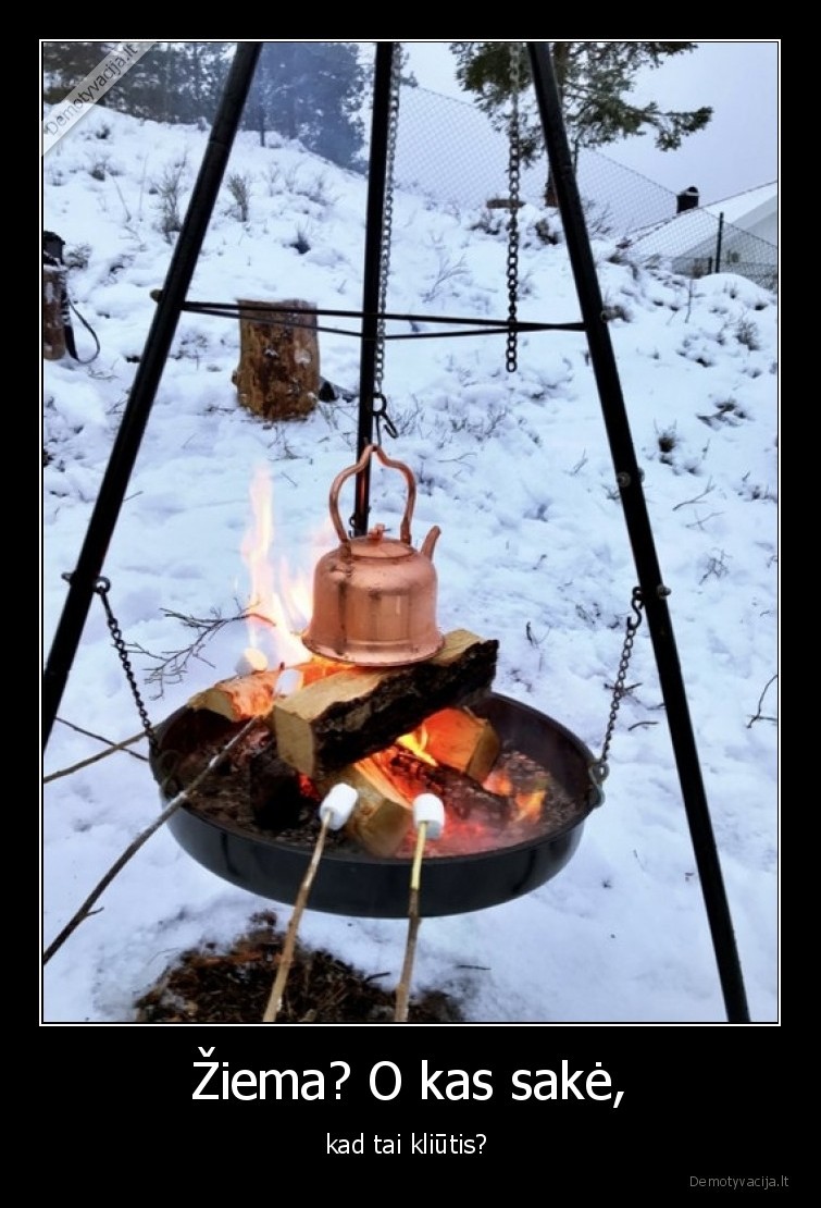 Žiema? O kas sakė, - kad tai kliūtis? 