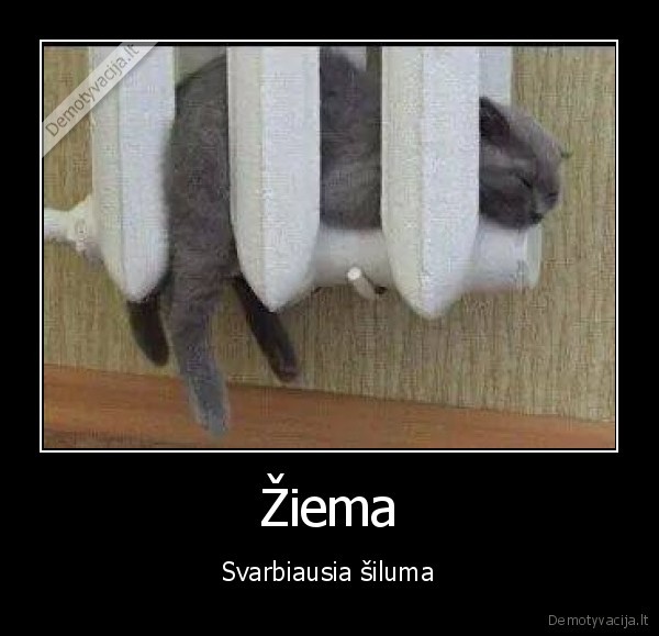 Žiema - Svarbiausia šiluma