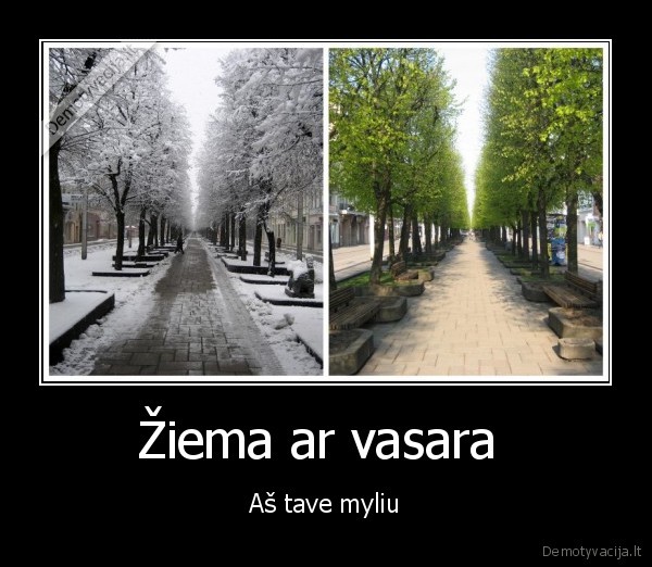 Žiema ar vasara  - Aš tave myliu