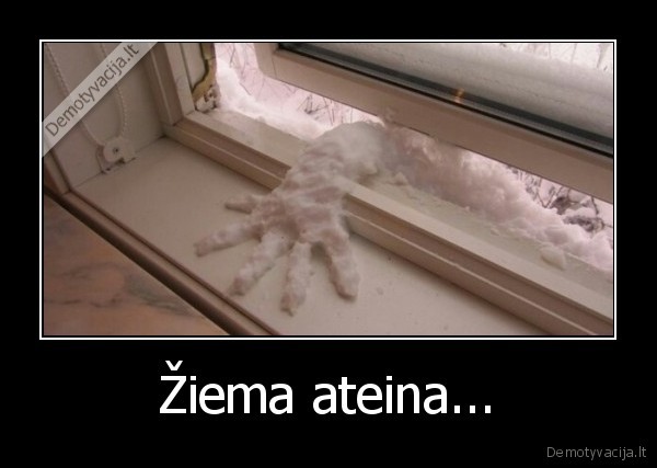 Žiema ateina... - 