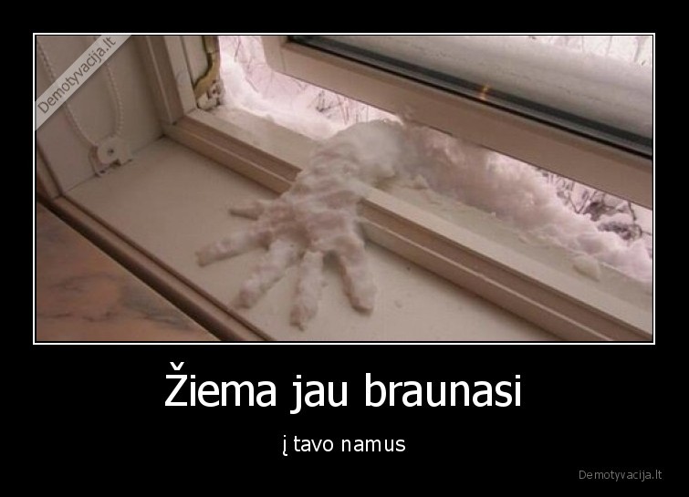 Žiema jau braunasi - į tavo namus