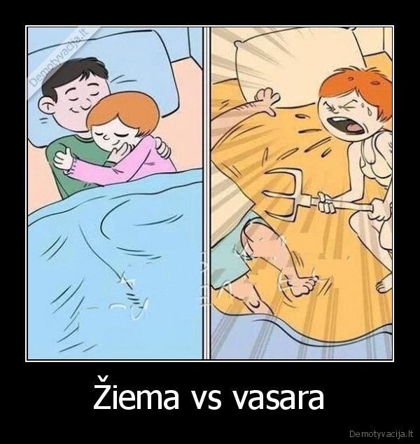 Žiema vs vasara - 