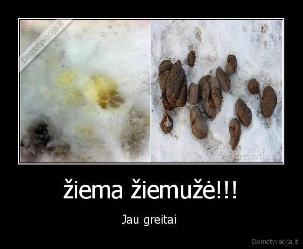 žiema žiemužė!!! - Jau greitai 