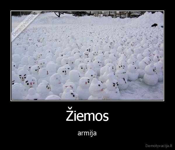 Žiemos - armija