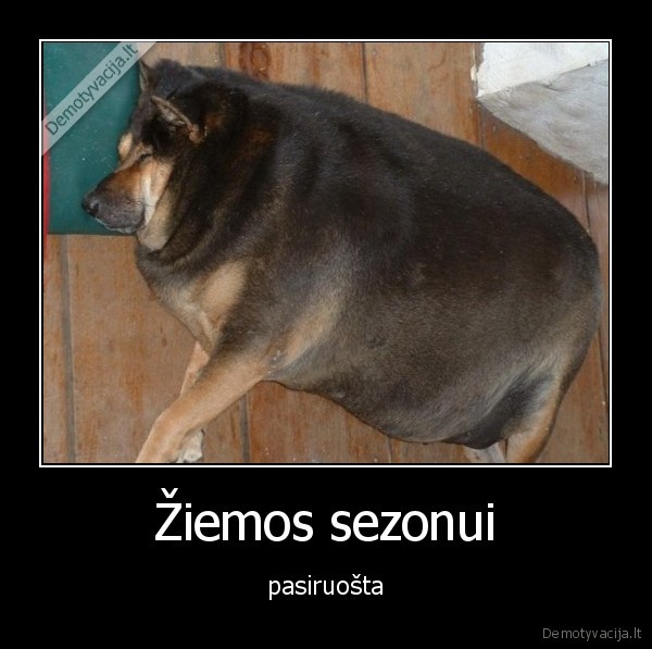 Žiemos sezonui - pasiruošta