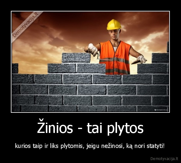 Žinios - tai plytos - kurios taip ir liks plytomis, jeigu nežinosi, ką nori statyti!