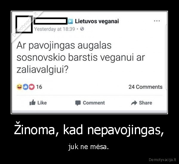 Žinoma, kad nepavojingas, - juk ne mėsa.