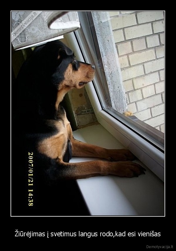 Žiūrėjimas į svetimus langus rodo,kad esi vienišas - 