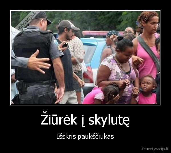 Žiūrėk į skylutę - Išskris paukščiukas