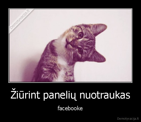 Žiūrint panelių nuotraukas - facebooke