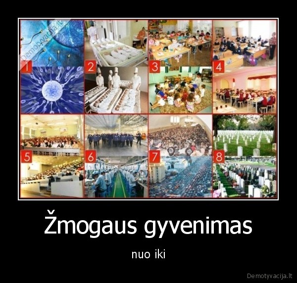 Žmogaus gyvenimas - nuo iki