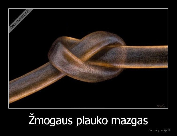 Žmogaus plauko mazgas - 