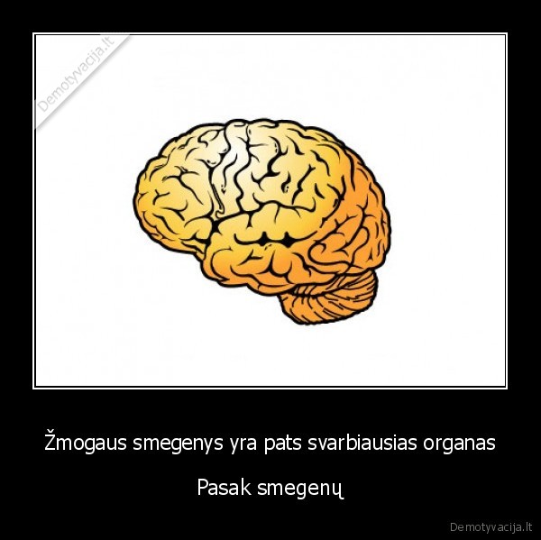 Žmogaus smegenys yra pats svarbiausias organas - Pasak smegenų