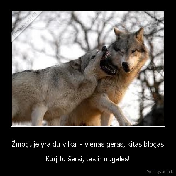 Žmoguje yra du vilkai - vienas geras, kitas blogas - Kurį tu šersi, tas ir nugalės!