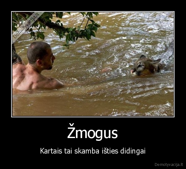 Žmogus - Kartais tai skamba išties didingai