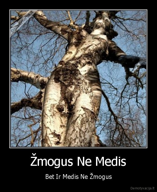 Žmogus Ne Medis - Bet Ir Medis Ne Žmogus