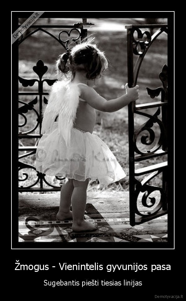 Žmogus - Vienintelis gyvunijos pasa - Sugebantis piešti tiesias linijas