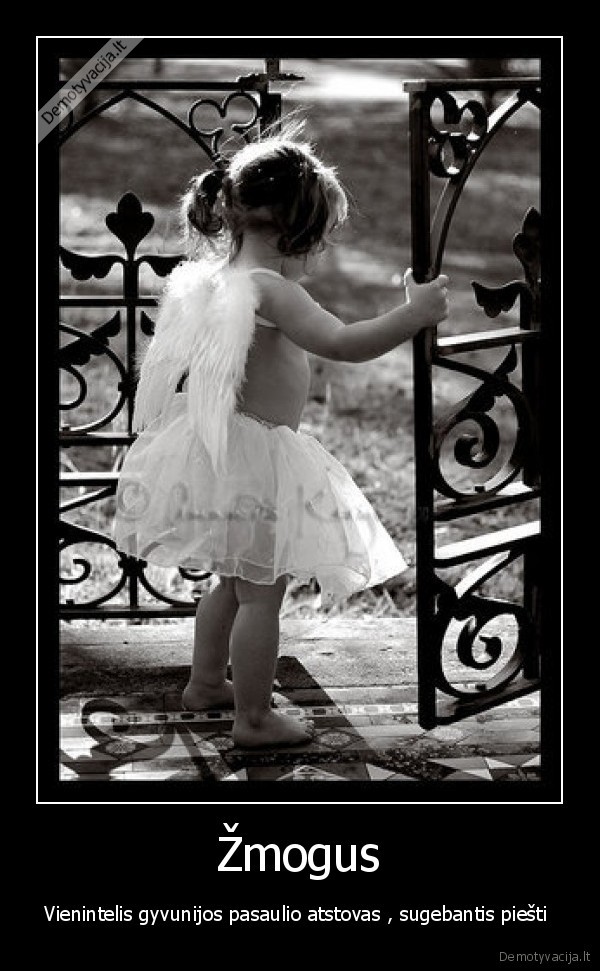 Žmogus - Vienintelis gyvunijos pasaulio atstovas , sugebantis piešti 