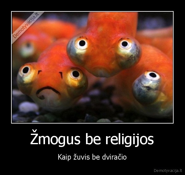 Žmogus be religijos - Kaip žuvis be dviračio