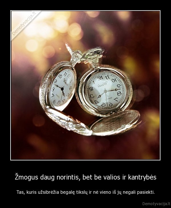 Žmogus daug norintis, bet be valios ir kantrybės - Tas, kuris užsibrėžia begalę tikslų ir nė vieno iš jų negali pasiekti.