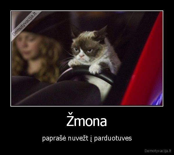 Žmona - paprašė nuvežt į parduotuves