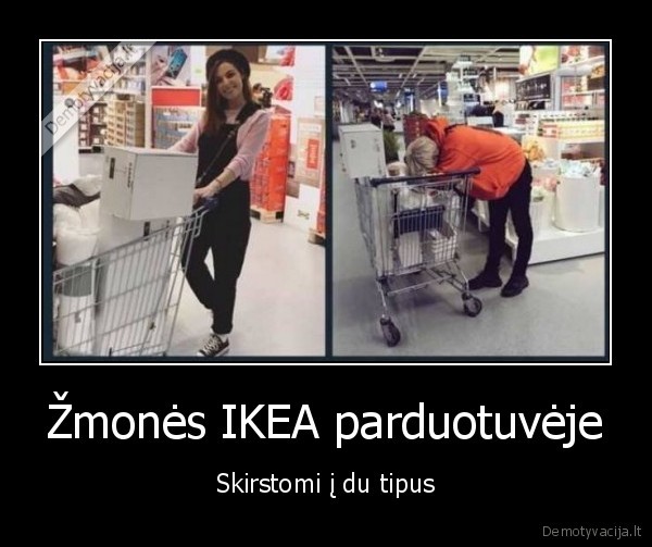 Žmonės IKEA parduotuvėje - Skirstomi į du tipus