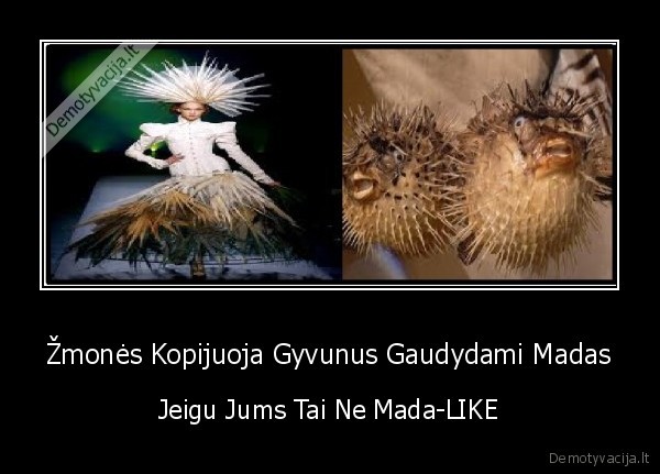 Žmonės Kopijuoja Gyvunus Gaudydami Madas - Jeigu Jums Tai Ne Mada-LIKE