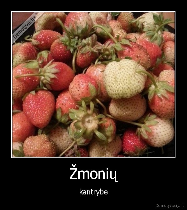 Žmonių - kantrybė