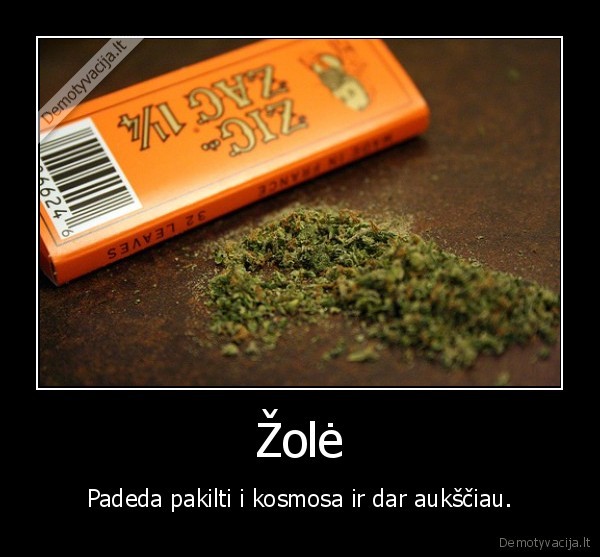 Žolė - Padeda pakilti i kosmosa ir dar aukščiau.