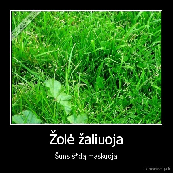 Žolė žaliuoja - Šuns š*dą maskuoja