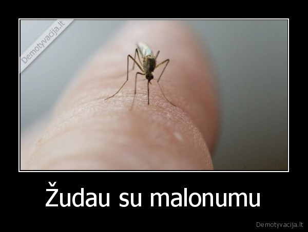 Žudau su malonumu - 