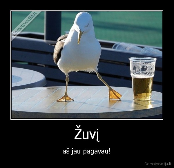 Žuvį - aš jau pagavau!