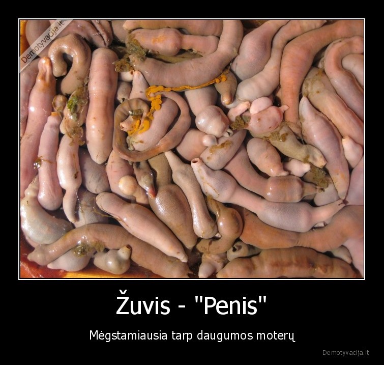 Žuvis - "Penis" - Mėgstamiausia tarp daugumos moterų